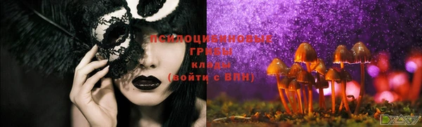 герыч Горнозаводск