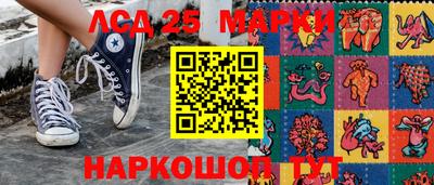гидропоника Дубна