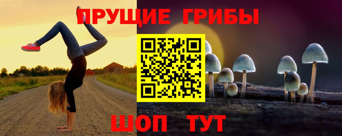 Псилоцибиновые грибы мицелий  Вход с VPN  Саранск 